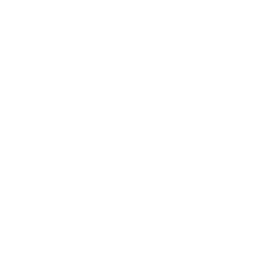 Rexite - vittoria ribighini